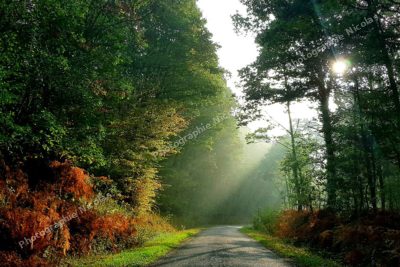 Couleur d'automne
