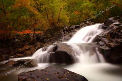 Couleurs d'automne