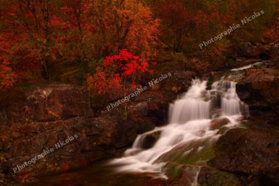 Douceur d'automne
