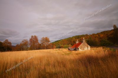 Ecosse5_1