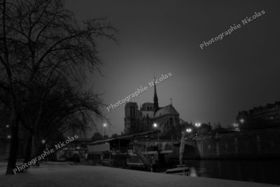 La belle sous la neige