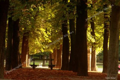Le banc de la solitude