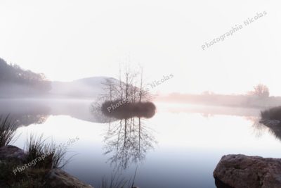 Matin calme