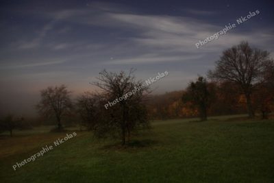 Nuit féérique
