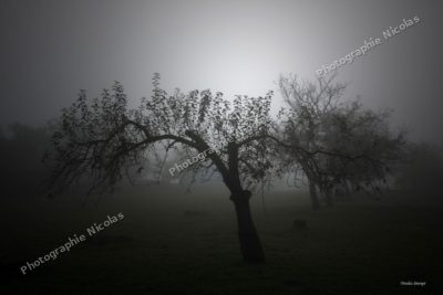 Obscure