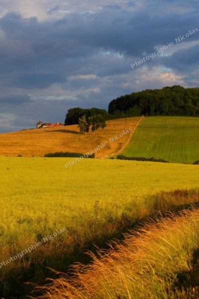 zCouleurs