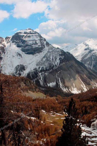 zMercantour_neige